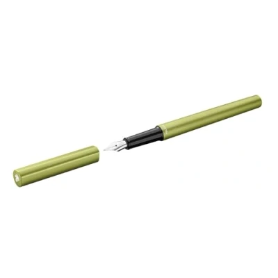 Afbeelding van Pelikan Ineo 823630 vulpen P6 Elements, oasegroen, 1 stuk in vouwdoos