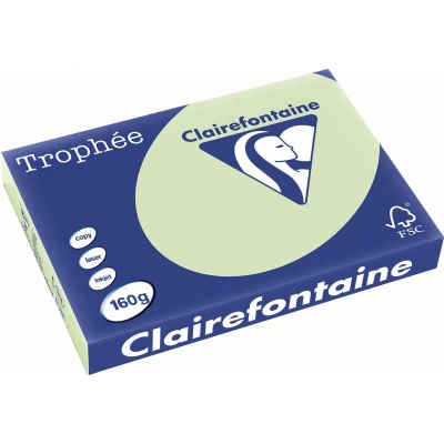 Afbeelding van Clairefontaine Trophée Pastel, gekleurd papier, A3, 160 g, 250 vel, gems papier
