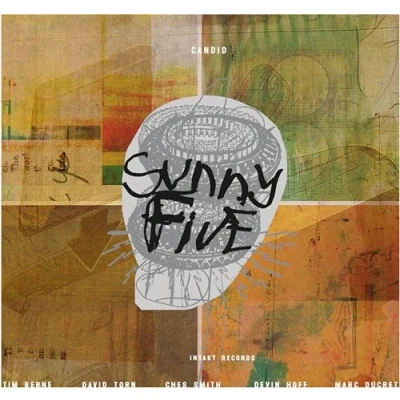 Afbeelding van Ches Smith, David Torn, Marc Ducret, Tim Berne Sunny Five (CD)