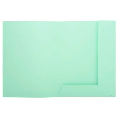 Afbeelding van Exacompta Ref. 332004E Pak van 50 stevige mappen met 2 kleppen SUPER 210 g/m² pastelkleuren PEFC™ gecertificeerde afmetingen 24 x 32 cm voor A4 documenten lichtgroen
