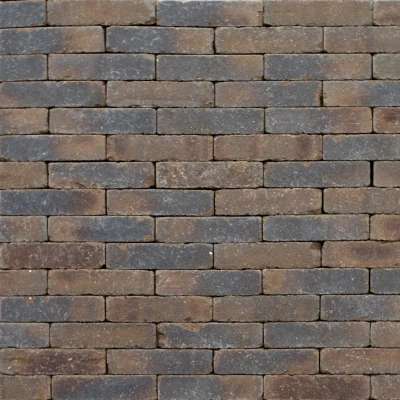 Afbeelding van Clayville Groningen WF 200x48x60 mm Bezand Getrommeld