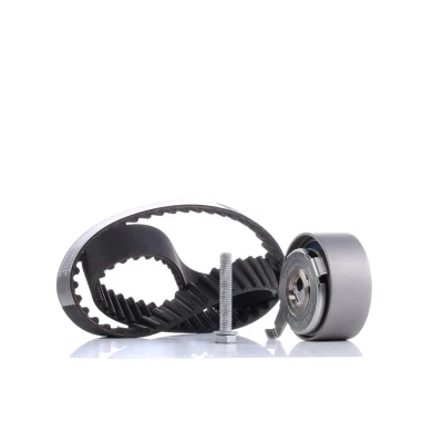 Afbeelding van Ina Distributieriem kit 530 0481 10