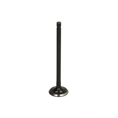 Afbeelding van FRECCIA R6594/RNT Uitlaatklep 25 Klepsteel met nitraat verzien