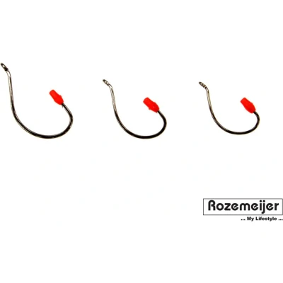 Afbeelding van Rozemeijer Worm &amp; Dropshot Hooks (10 pcs) Maat : Size 4