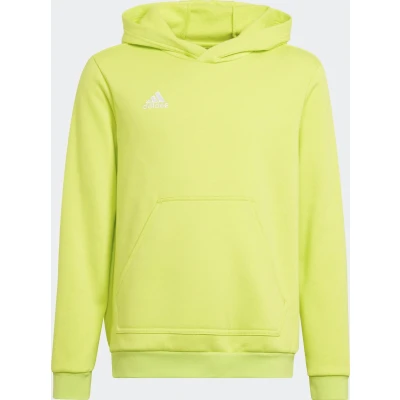 Afbeelding van adidas Performance Entrada 22 Sweat Hoodie Kinderen Geel 128