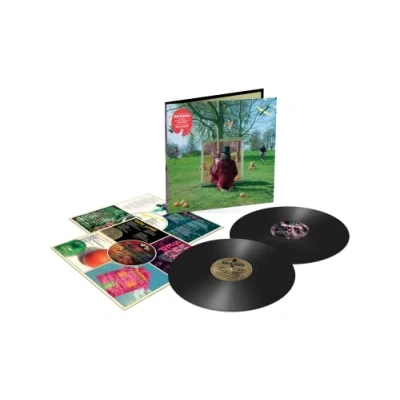 Afbeelding van Syd Barrett An Introduction To (2 LPs)