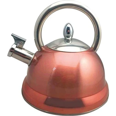 Image de Bouilloire à  sifflet en inox 3l stainless_steel