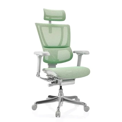 Afbeelding van ERGOHUMAN SLIM G GEN2 net Luxe directiestoel Groen