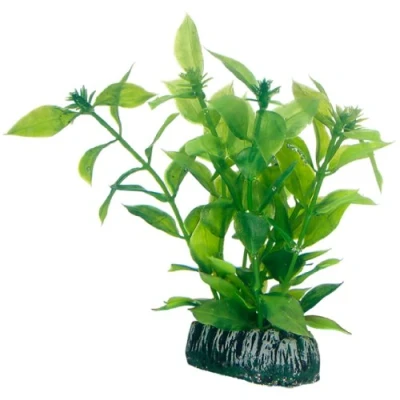 Afbeelding van Hobby Plant Hygrophila 13 Cm