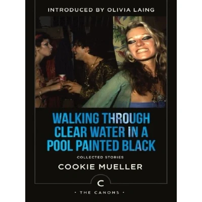 Image de The Canons: Walking Through Clear Water In a Pool Painted Black