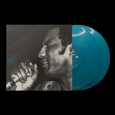Afbeelding van Harvey Scales Trying To Survive (2 LPs)