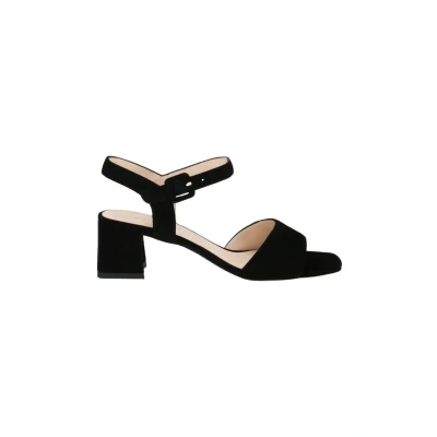 Afbeelding van Peter Kaiser Sandales 78240, daim, noir, pour femme, Noir , 37 EU