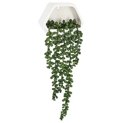 Image de Atmosphera Créateur d&#039;intérieur Plante Artificielle Murale Tombante 14cm Blanc