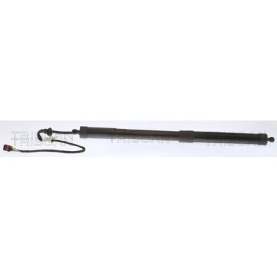 Afbeelding van TRISCAN 8710 29303 Gasveer achterklep VOLKSWAGEN: Sharan II, SEAT: Alhambra II