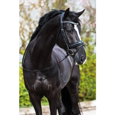 Image de Premiera &quot;Verona&quot; black anatomical bridle