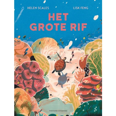 Afbeelding van Het grote rif