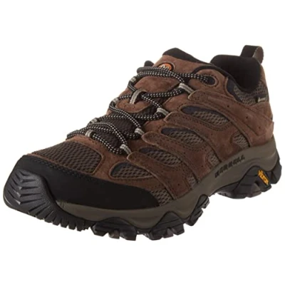 Image de Merrell Homme Moab 3 GTX Chaussure de randonnée, Fougère, 46.5 EU