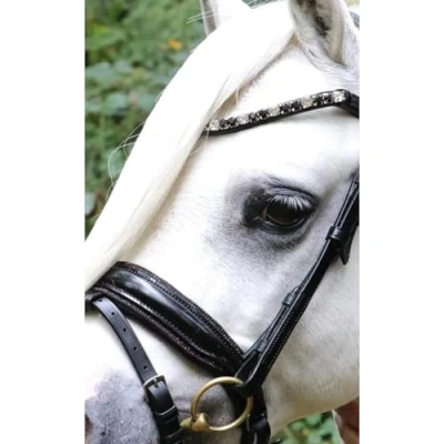 Afbeelding van HB Showtime Hoofdstel Special Zwart/Burgundy A Pony