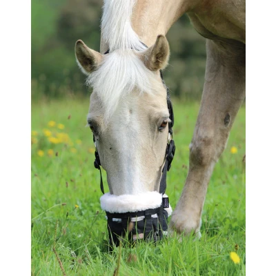 Image de Panier anti fourbure Deluxe Shires