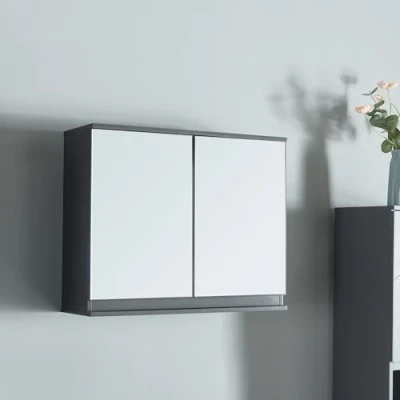Afbeelding van Spiegelkast Overath badkamerkast grijs 49,5x60x20 cm [en.casa]