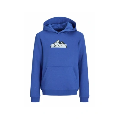 Afbeelding van JACK&amp;JONES JUNIOR JCOMOUNTAIN LOGO SWEAT HOOD SN MNI Jongens Trui Maat 122