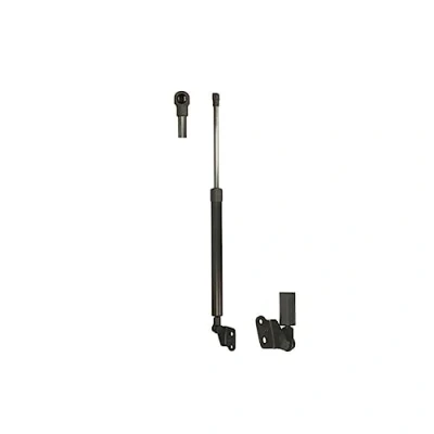 Afbeelding van LESJÖFORS 8155466 Gasveer achterklep Rechts achter