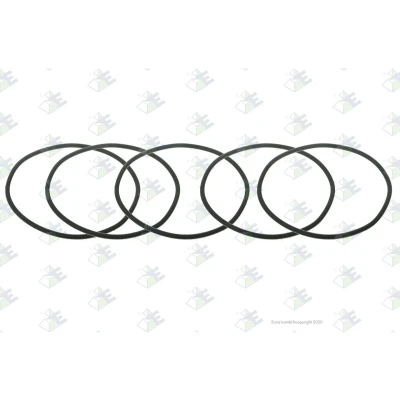 Afbeelding van Euroricambi 95531923 O ring