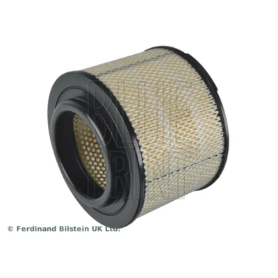Afbeelding van Blue Print Luchtfilter ADT32295