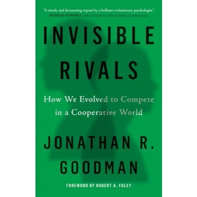 Afbeelding van Invisible Rivals