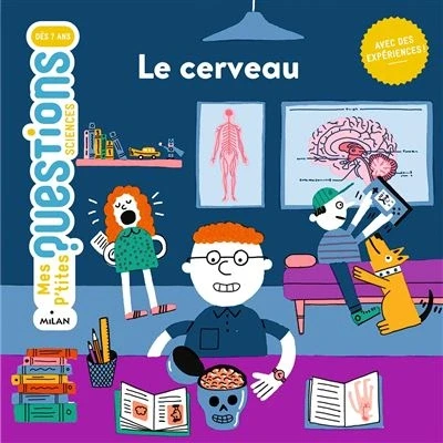 Image de Le Cerveau