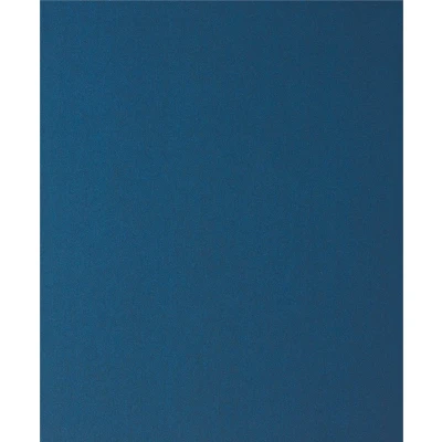 Afbeelding van Bosch SCHUREN/POLIJSTEN MP (Handschuurblad metaal 230x280mm K320)