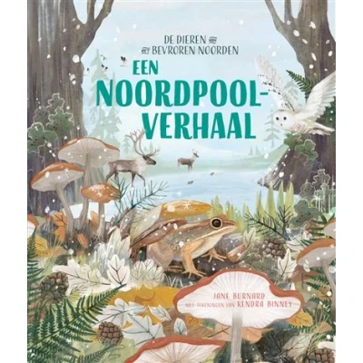 Image de Een Noordpoolverhaal