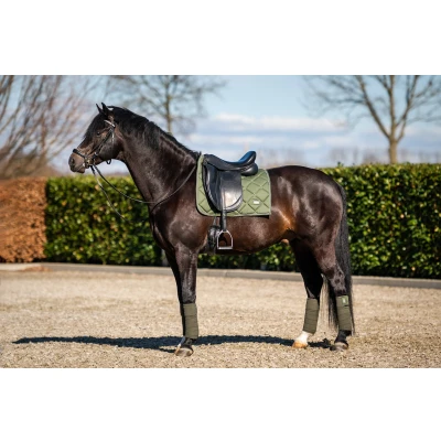 Image de HB Showtime Tapis de Selle Crown Dressage Vert mousse Full