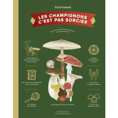 Image de Les Champignons C&#039;est pas sorcier