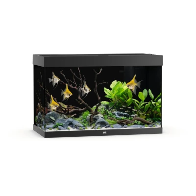 Afbeelding van Juwel Rio 290 Led Aquarium 101x51x66 cm Zwart