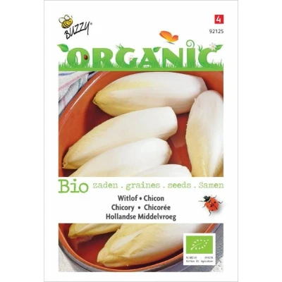 Afbeelding van Organic Witlof Middelvroeg (Skal 14275) Buzzy