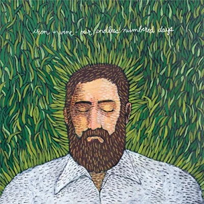 Afbeelding van Iron &amp; Wine Our Endless Numbered Days (CD)