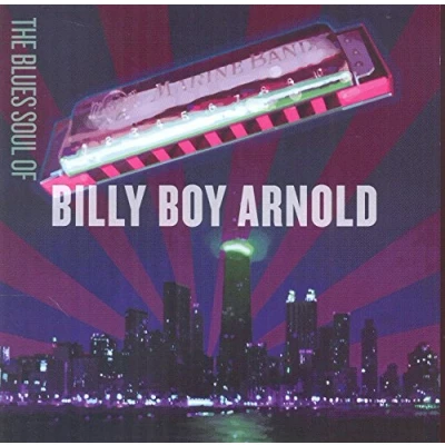 Afbeelding van Billy Boy Arnold Blues Soul Of (CD)