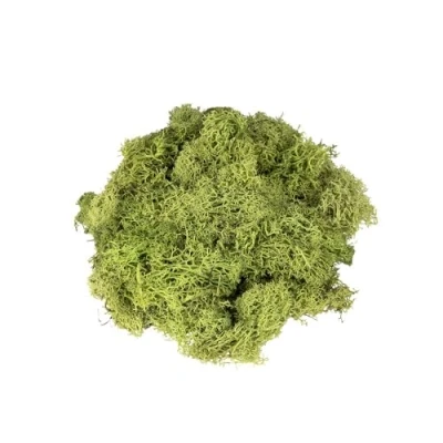 Afbeelding van Ideen mit Herz IJslands mos, groen, decoratief natuurproduct, 100 g