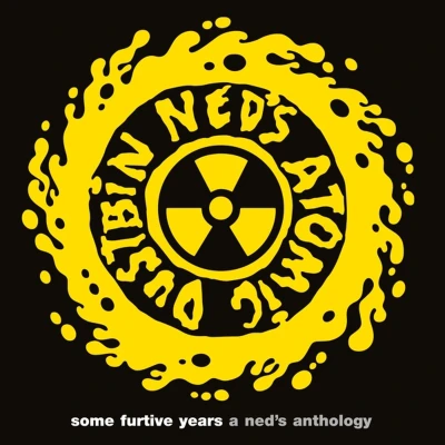 Afbeelding van Ned&#039;s Atomic Dustbin Some Furtive Years a Anthology (2 LPs)
