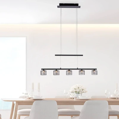 Afbeelding van Paul Neuhaus Hydra LED hanglamp, zwart, glas, 80 cm