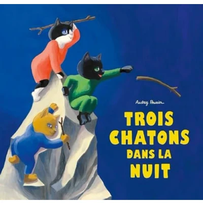 Afbeelding van Trois chatons dans la nuit