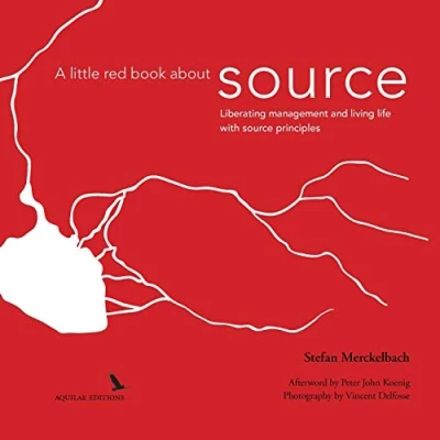 Afbeelding van A little red book about source