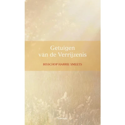 Afbeelding van Getuigen van de Verrijzenis