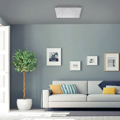Afbeelding van LED plafondlamp Sparkle CCT dim staal 45x45cm
