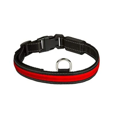 Afbeelding van Lichtgevende halsband Hond Oplaadbaar 40 45cm x 25mm (S)