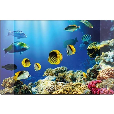 Afbeelding van Bureauonderlegger Kangaro PP 38x58cm dessin aquarium
