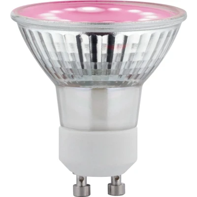 Afbeelding van PAULMANN LED plantenlamp groei 230 V GU10 3.5 W Barnsteen 1 stuk(s)