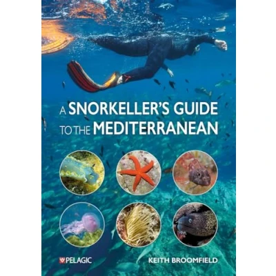 Afbeelding van A Snorkeller’s Guide to the Mediterranean