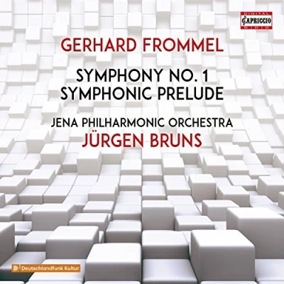 Afbeelding van Jena Philharmonic Orchestra &amp; Jurgen Bruns Frommel: Symphony No.1 Symphonic Prelude For (CD)
